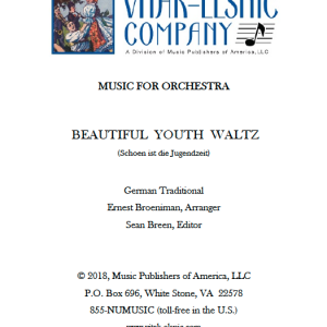 Orchestra Beautiful Youth Waltz Cover