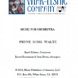 Prune Song Waltz Orchestra Cover