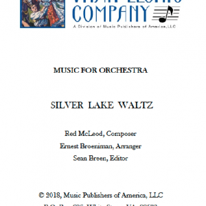 Silver Lake Waltz Orchestra Cover